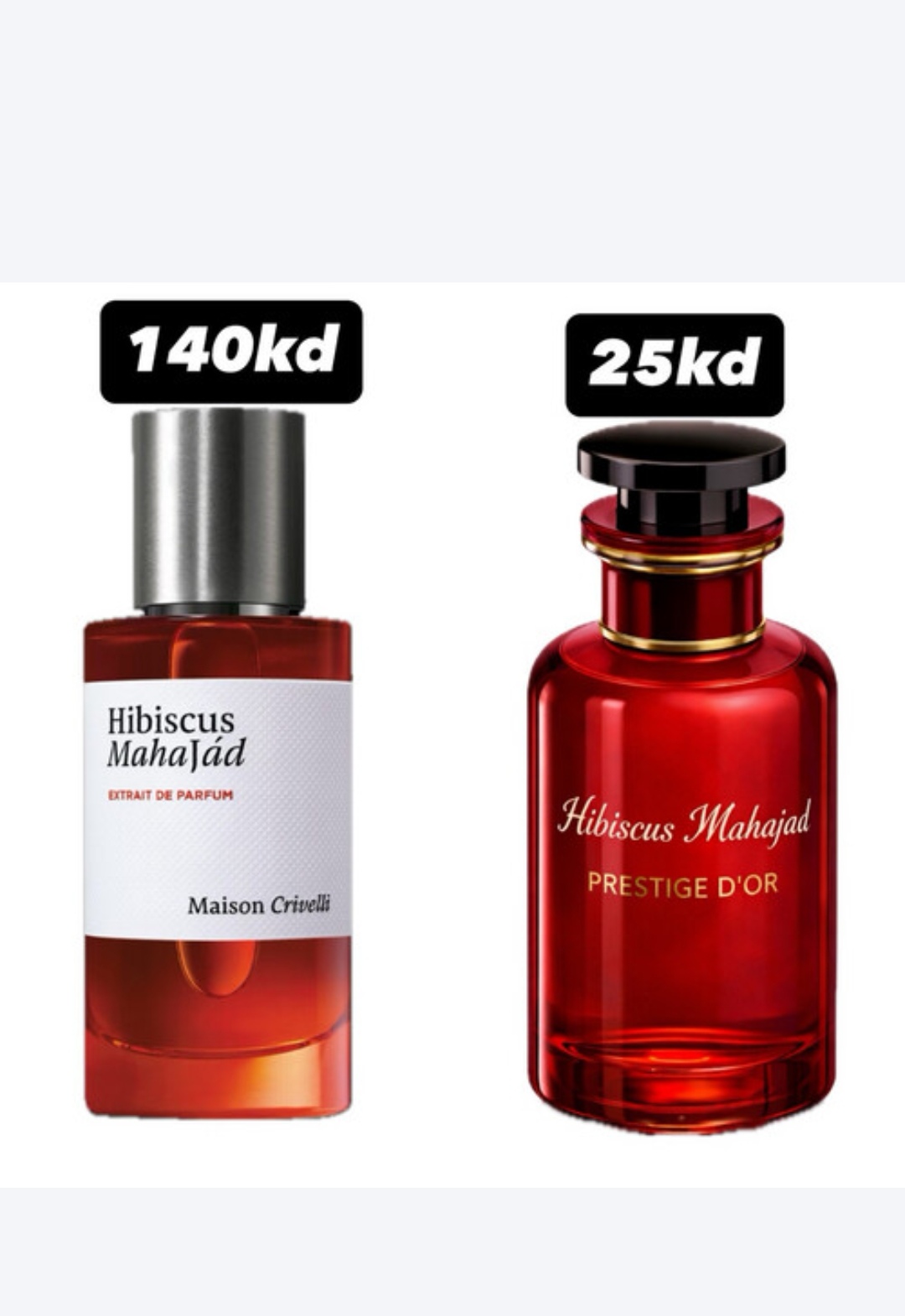 Hibiscus mahajad PD 